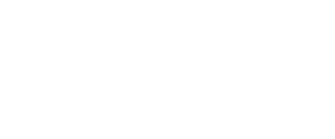 logo todis bianco