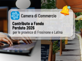 Contributi a fondo perduto fino a 10.000 € per digitalizzazione e marketing nelle province di Frosinone e Latina